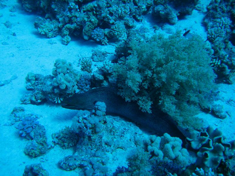 2009-12-05 10-45-17S.JPG